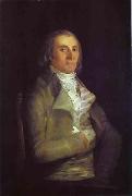 Portrait of Andres del Peral Francisco Jose de Goya